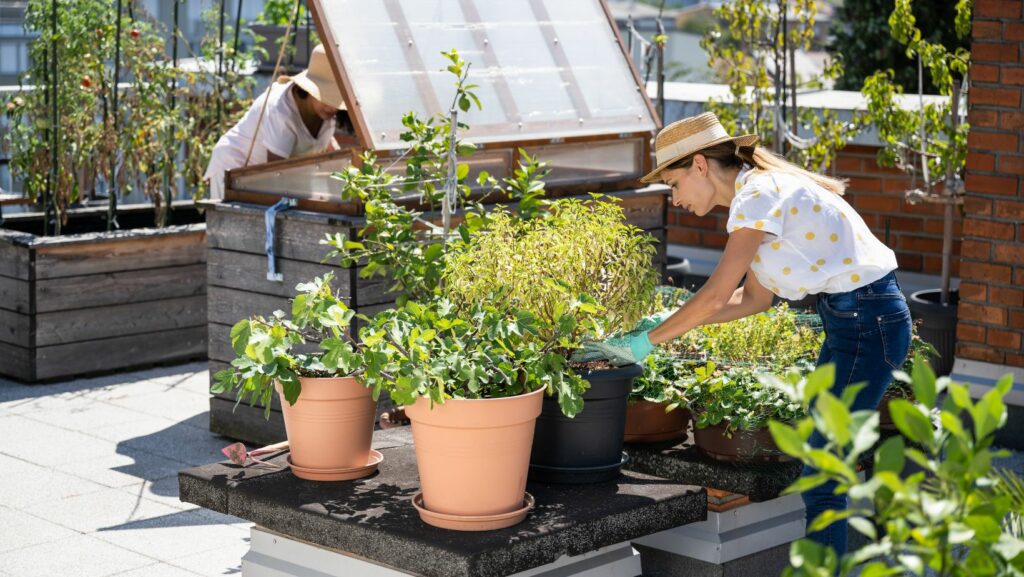 blinds.com city gardening